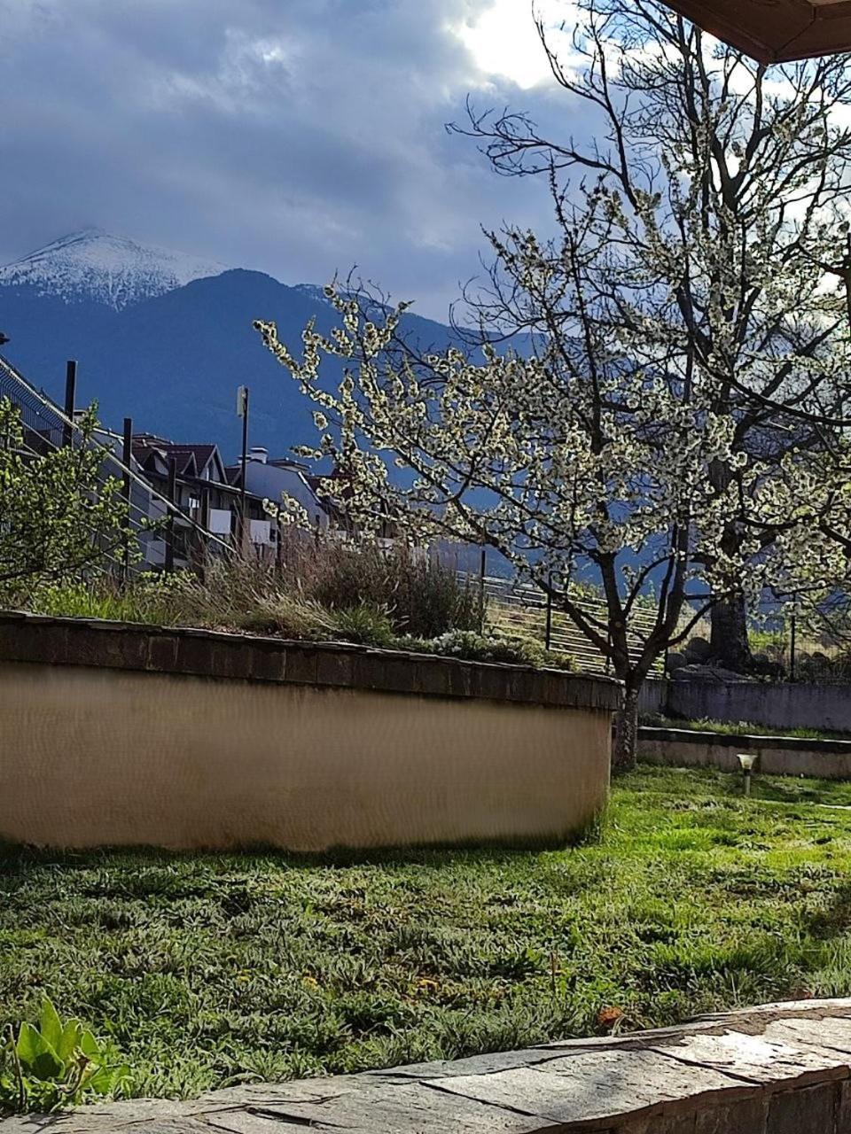 Belvedere Holiday Club Spa&Ski Private Apartments Μπάνσκο Εξωτερικό φωτογραφία